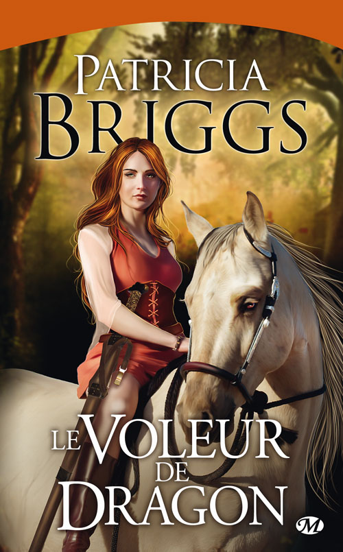 Le voleur de dragon