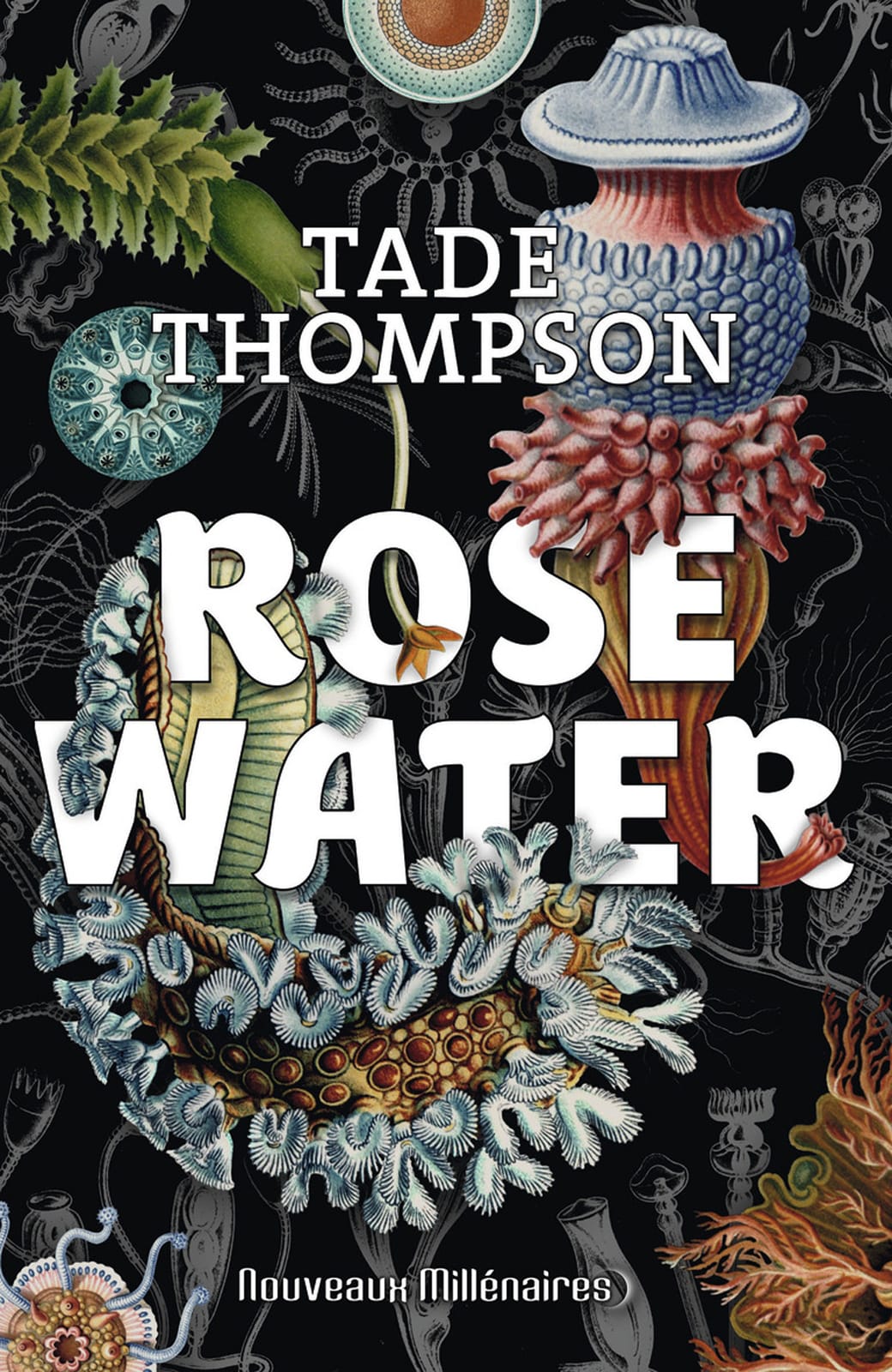Rosewater